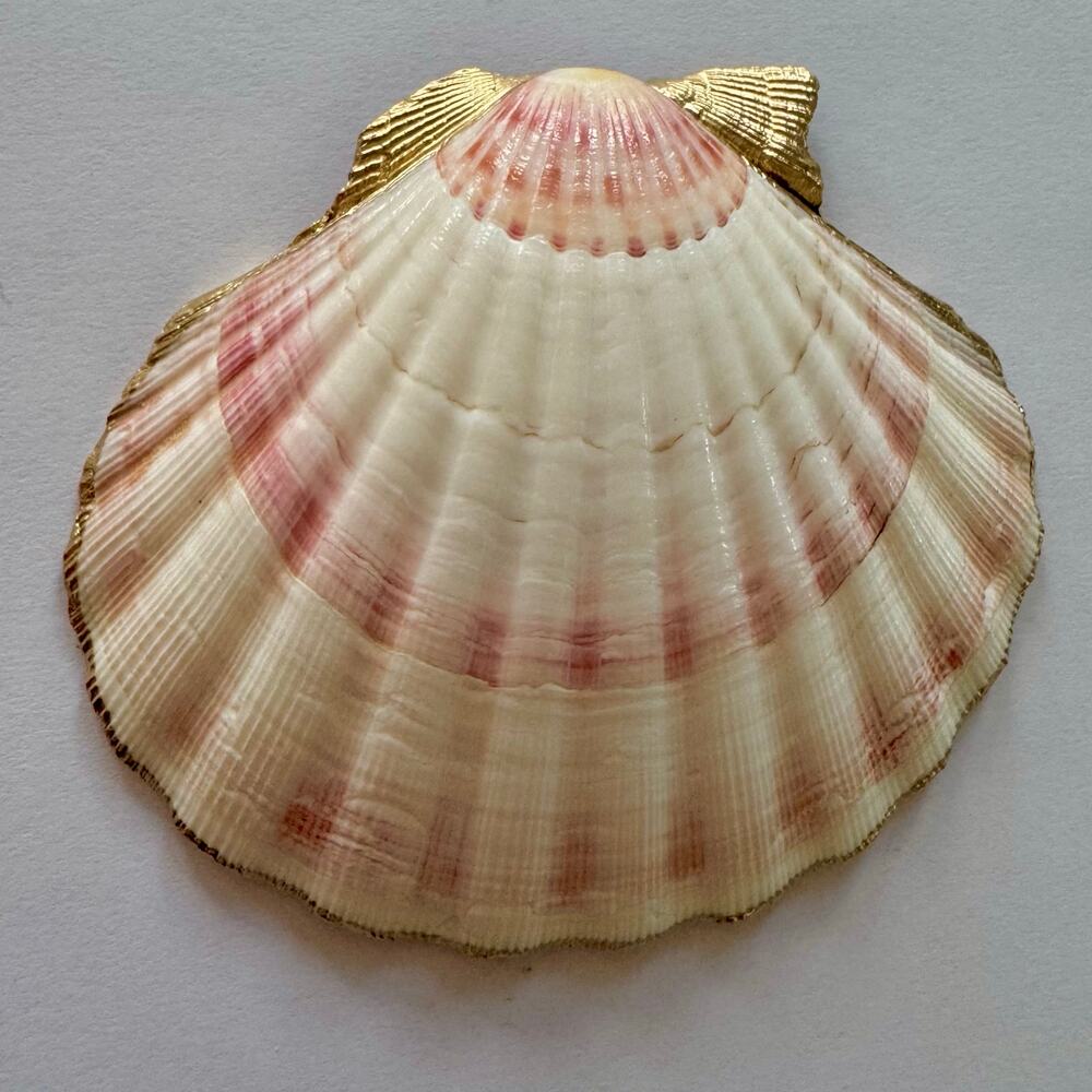 Bright Strawberry Seashell Trinket Jewelry Dish - Picture 4 of 4